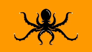 amazon octopus