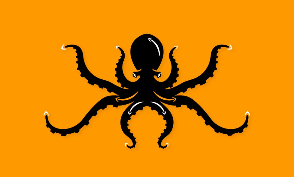 amazon octopus