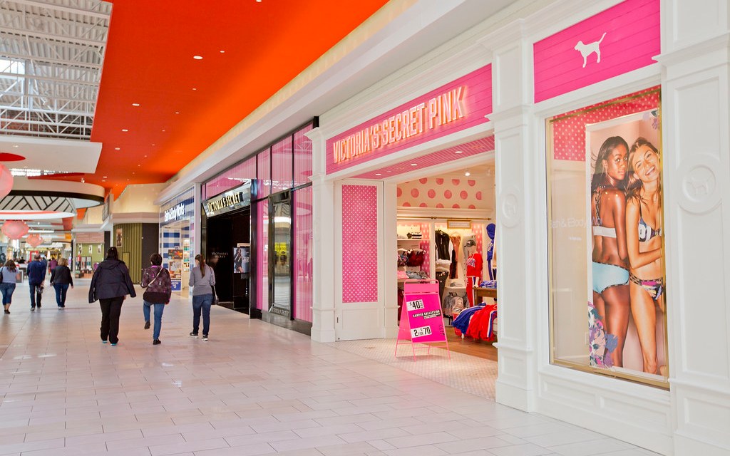 Life Inside the Page: Victorias Secret, PINK