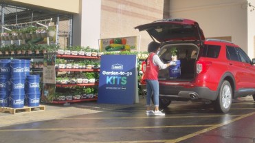 lowe's spring fest
