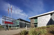 Petco s Vital Care Membership Program Grew 200 Modern Retail