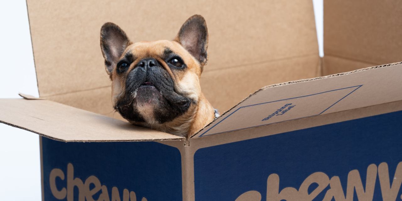 The header image shows a bulldog in a Chewy box.