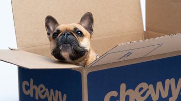 The header image shows a bulldog in a Chewy box.