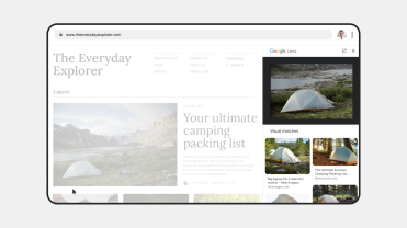 Screenshot of Google Lens in Chrome desktop.