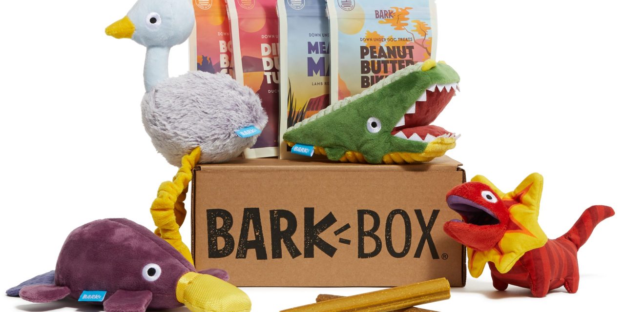 Why Pet Brand Bark Is Partnering With Rei