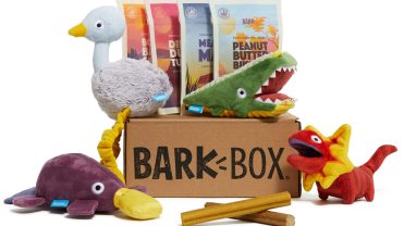 Toys and dog treats Bark Box developed exclusively for REI