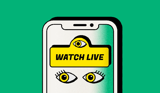 Marketplace Briefing: TikTok Shop and Whatnot notch record-breaking Black Friday-Cyber Monday sales as live shopping surges