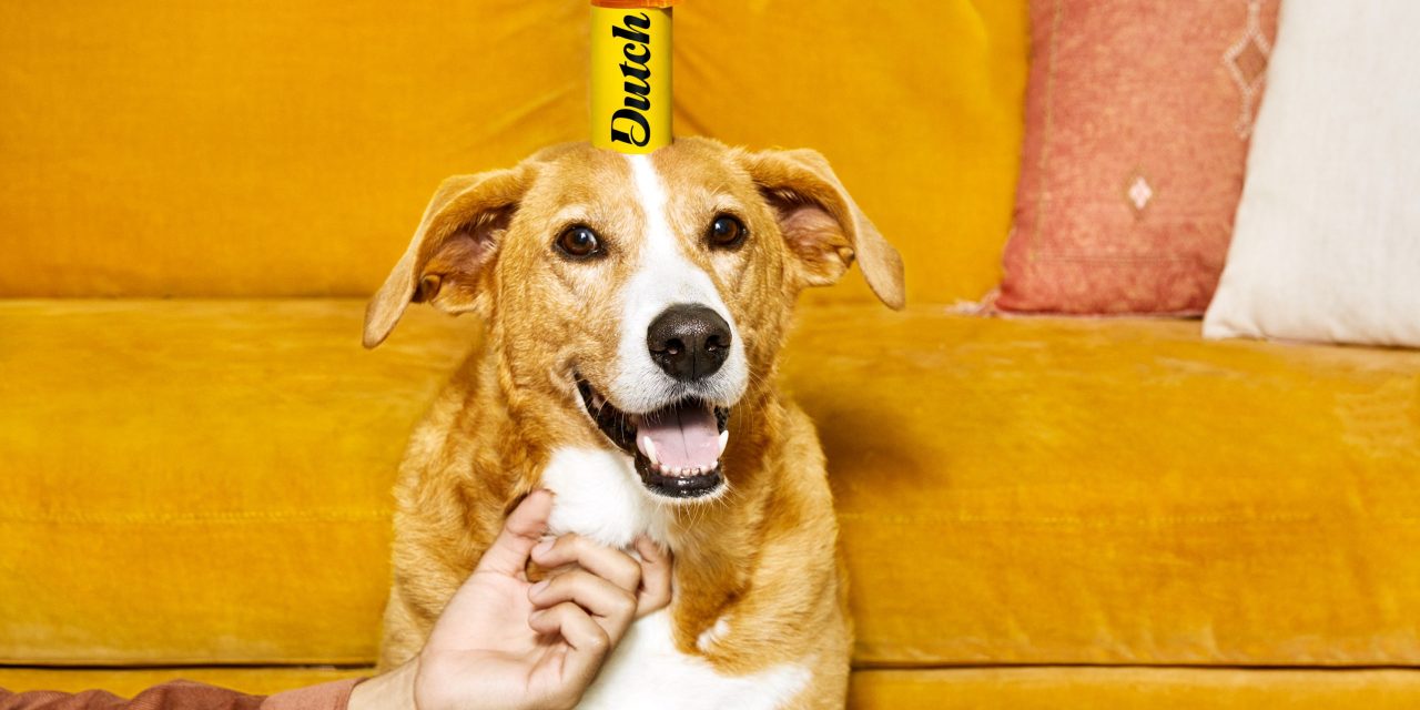 Direct-to-consumer startup Dutch's pet medicine