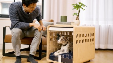 Fable pet crate