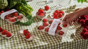 Tray of Oishii strawberries sitting on a table with a green and white checkered tablecloth