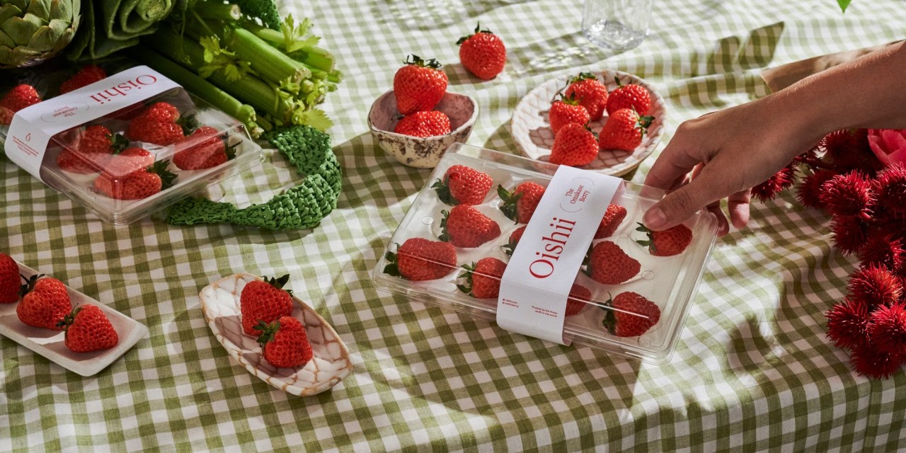 Tray of Oishii strawberries sitting on a table with a green and white checkered tablecloth