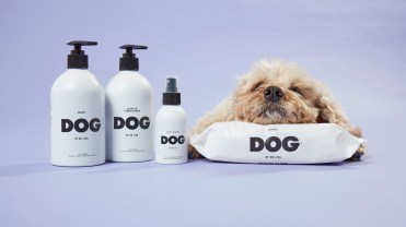 A dog resting its head on Dog by Dr Lisa wet wipes.