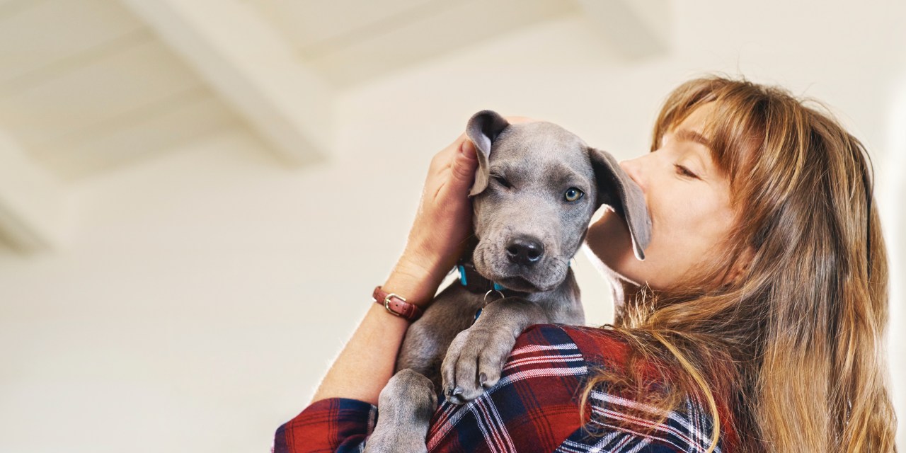 A puppy being held by a woman.