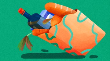 Orange grocery bag containing a carrot, apple, baguette, bottle of wine and milk carton on a green background