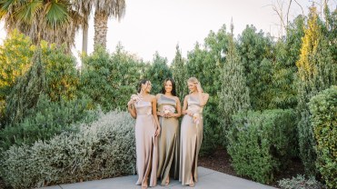 Three women wearing Birdy Grey dresses.