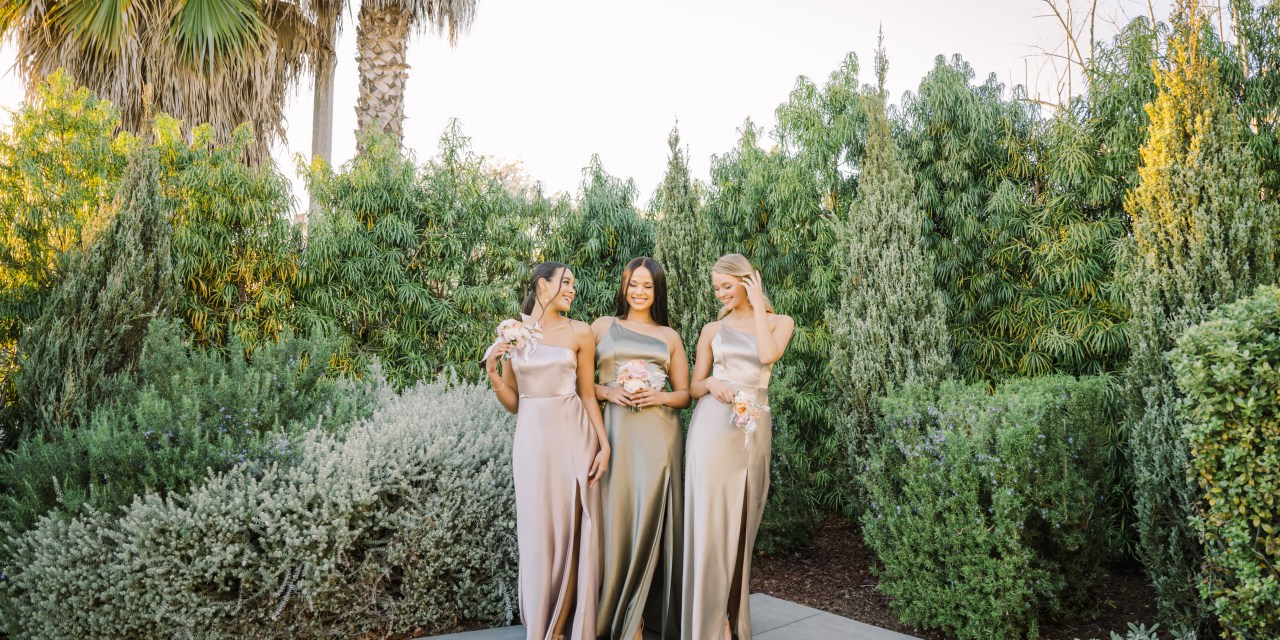 Three women wearing Birdy Grey dresses.
